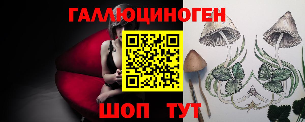 Галлюциногенные грибы Magic Shrooms  Псилоцибиновые грибы мицелий  Лениногорск  Вход с VPN 